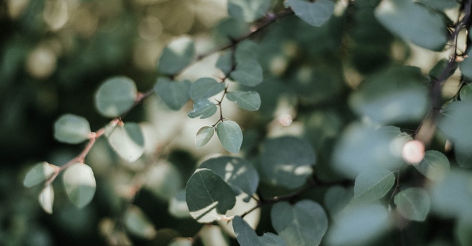 Workshops and Classes